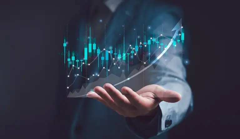 Reflexiones sobre el portafolio
